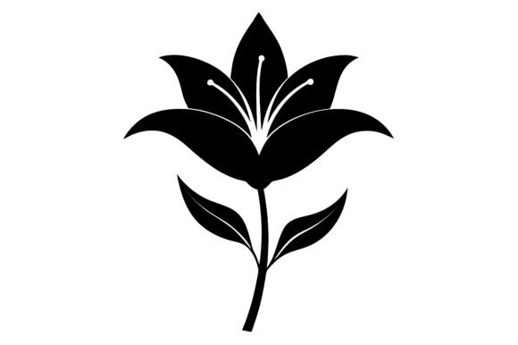 Exploring the Lily Clip Art Black Silhouette Line Ar Collection