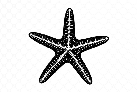 Starfish SVG, Starfish Silhouette, 030: Coastal Charm for Creative Projects